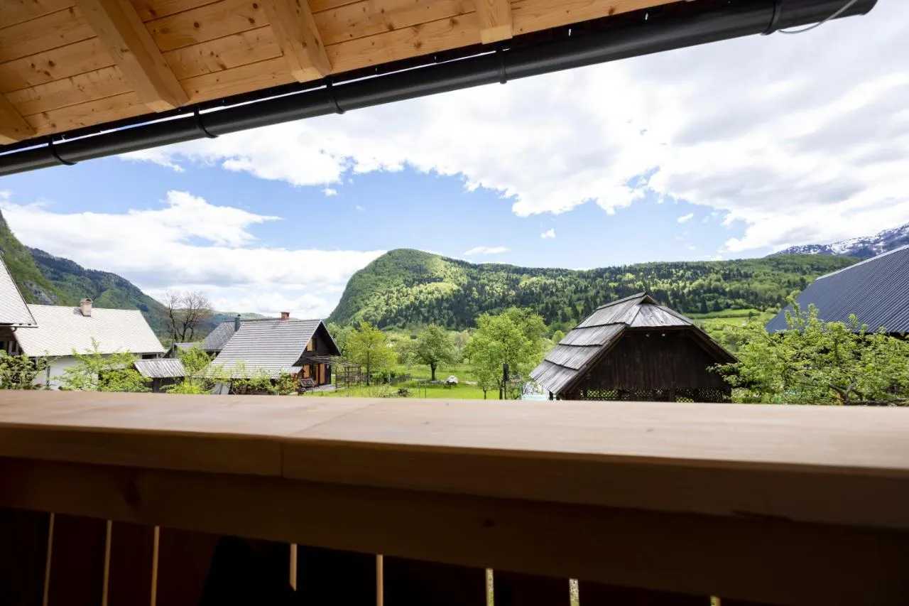 Pogled z balkona apartmaja 4 na vas in gore